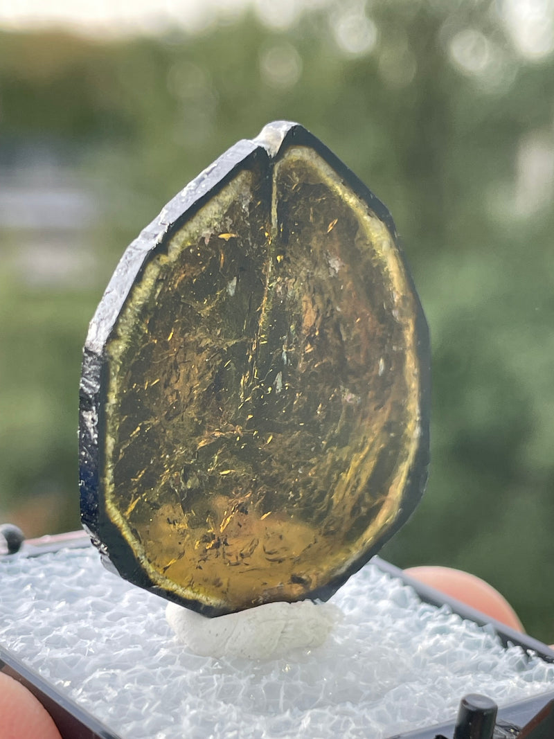 Liddicoatite Tourmaline Slice from Madagascar