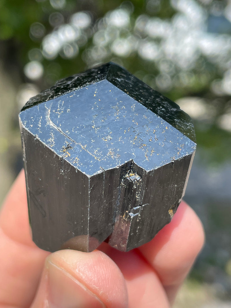 Black Tourmaline Flat 24 pieces from Namibia