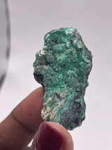 20 Piece Flat of Vibrant Chrysocolla with Malachite & Brochantite, from Usakos, Erongo Region, Namibia