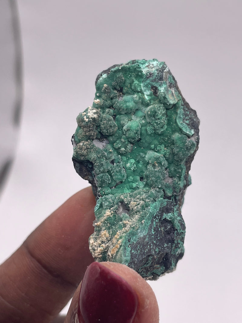 20 Piece Flat of Vibrant Chrysocolla with Malachite & Brochantite, from Usakos, Erongo Region, Namibia