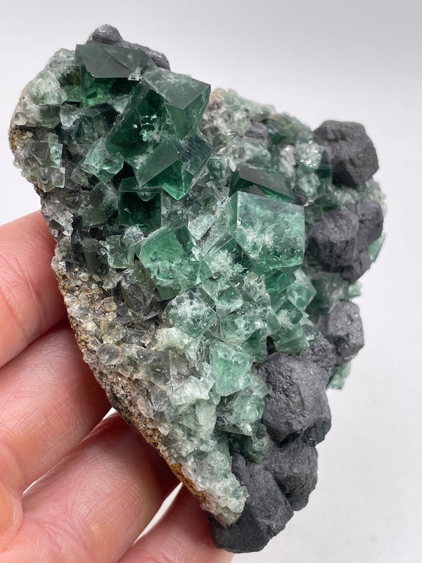 UK Fluorite with Galena from the Greedy Hog Pocket, Diana Maria Mine, England