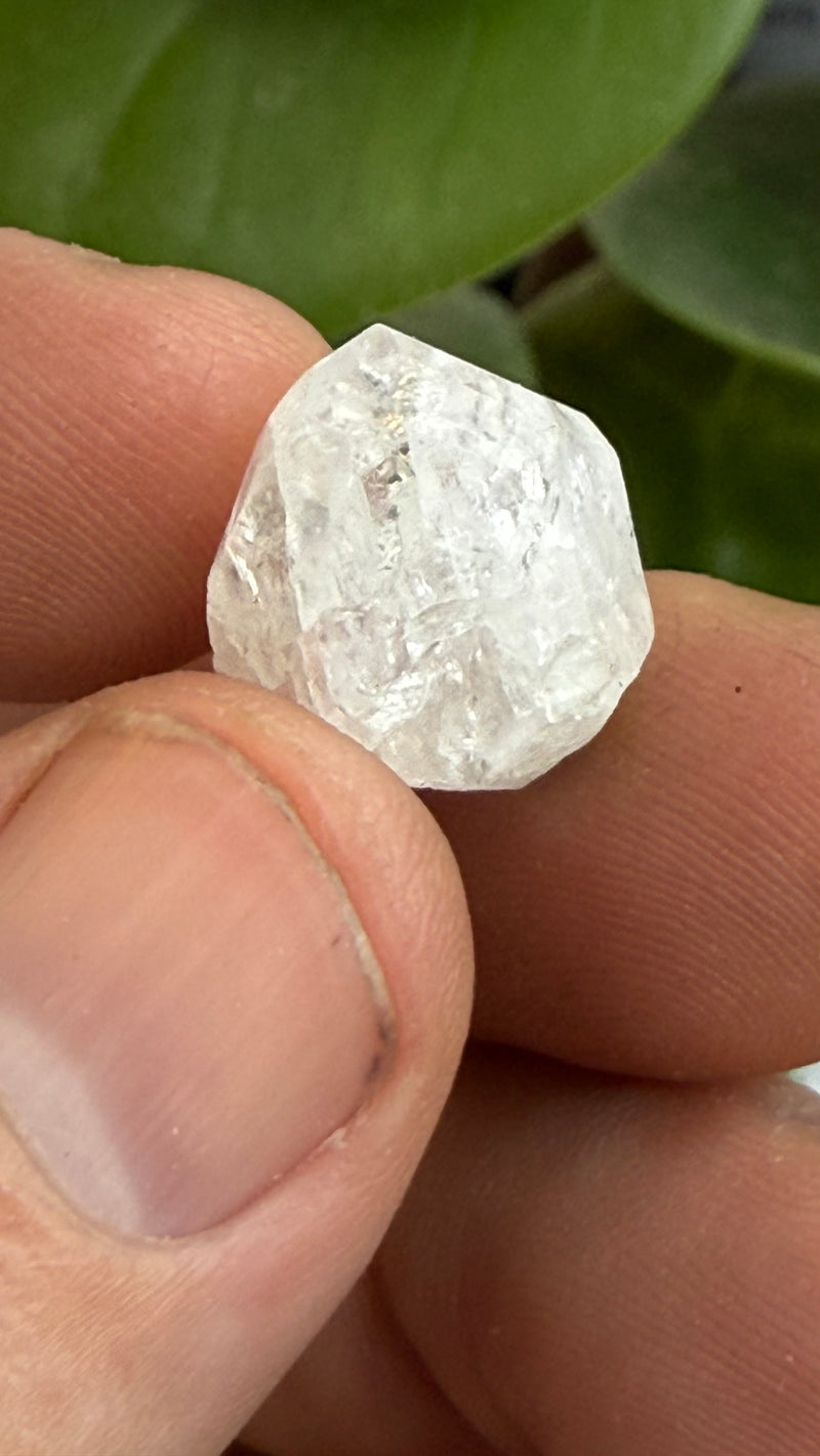 Gemmy Nigerian Phenakite Crystal with black tourmaline  from Okuta-Didan Mine, Jos Plateau, Nigeria