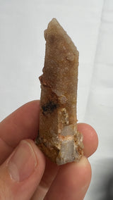 96 piece Witch Finger Wholesale flat from Boekenhouthoek, South Africa