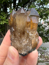 Kundalini Citrine Wholesale Flat 18 pieces from Democratic Republic of Congo
