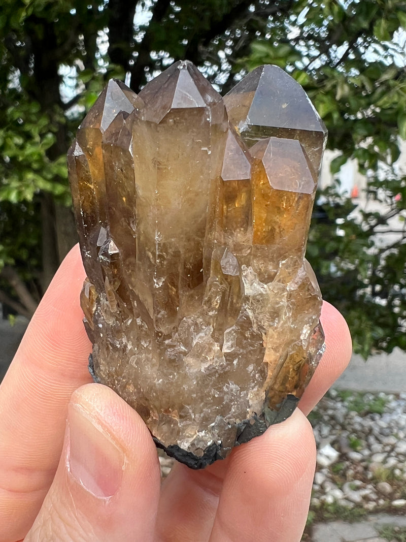 Kundalini Citrine Wholesale Flat 18 pieces from Democratic Republic of Congo
