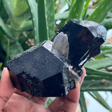 Black Tourmaline Crystal from Erongo Mountain, Erongo Region, Namibia
