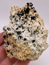 Black Tourmaline cluster on Feldspar from the Erongo Mountain, Namibia