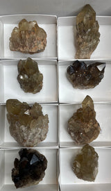 Kundalini Citrine - 8 Pieces Wholesale flat from Lwena, DR of Congo (3.416kg)