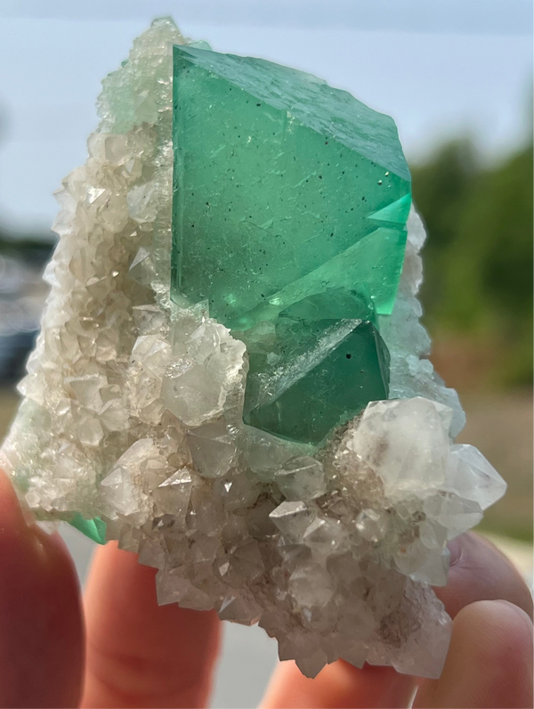 Fluorite with Quartz from the Orange River Area, Riemvasmaak South Africa
