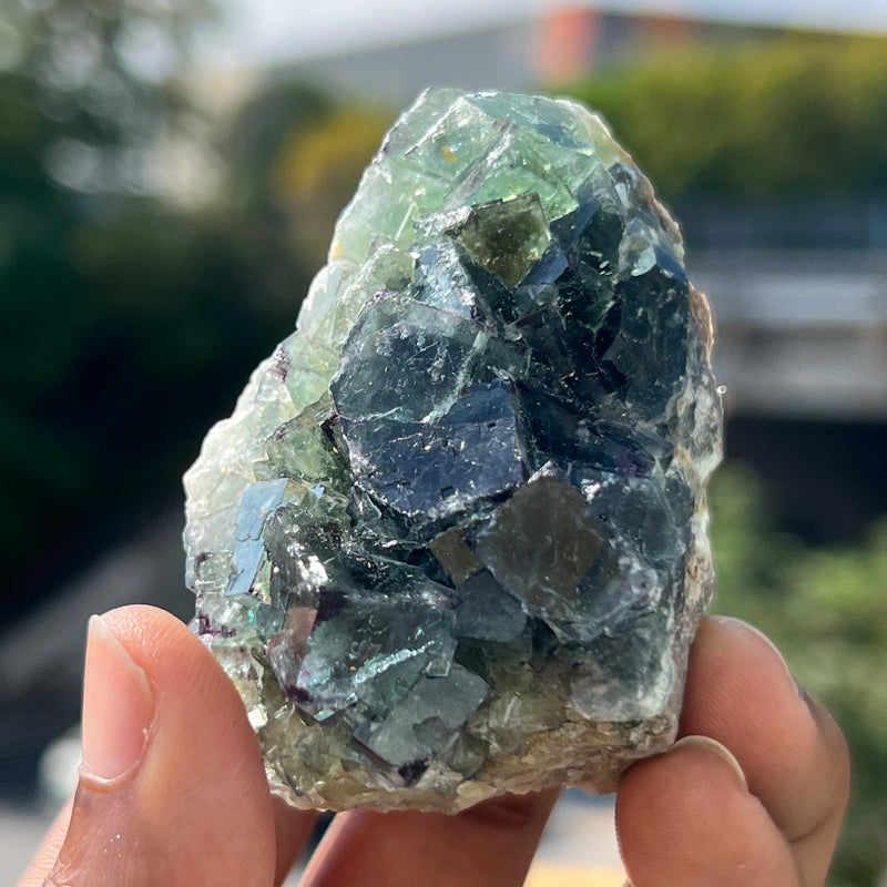 Fluorite, Okorusu Mine, Otjiwarongo Region, Karibib District, NAMIBIA