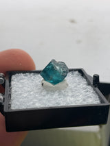 @krystonite20