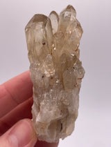 Kundalini Citrine Wholesale Flat 24 pieces from Democratic Republic of Congo