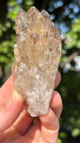 Kundalini Citrine Wholesale Flat 12 pieces from Democratic Republic of Congo