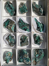 Malachite and Chrysocolla Flat 12 pieces from Usakos, Erongo Region, Namibia