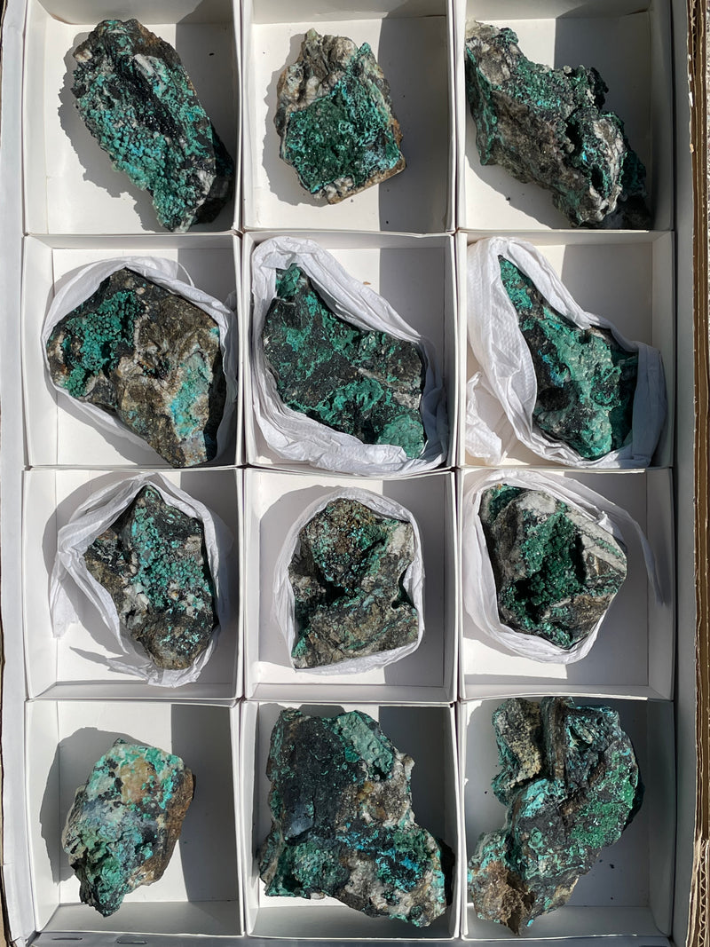 Malachite and Chrysocolla Flat 12 pieces from Usakos, Erongo Region, Namibia