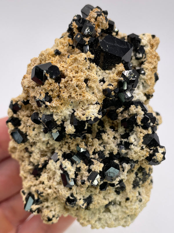 Black Tourmaline cluster on Feldspar from the Erongo Mountain, Namibia