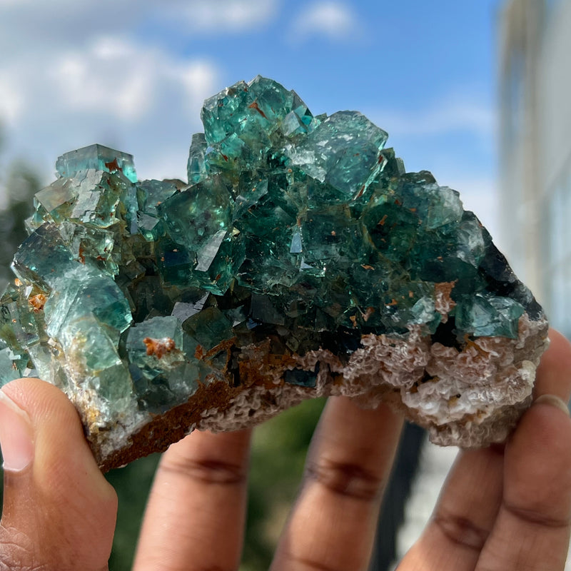 Top Shelf Fluorite, Okorusu Mine, Otjiwarongo Region, Karibib District, NAMIBIA