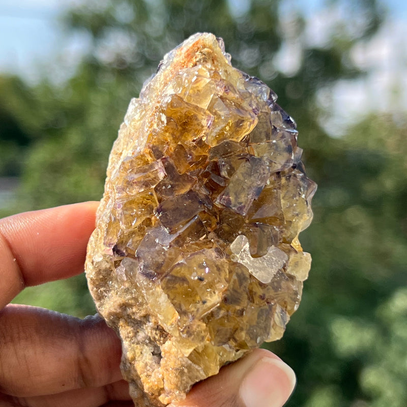 Yellow & Purple Fluorite, Okorusu Mine, Otjiwarongo Region, Karibib District, NAMIBIA