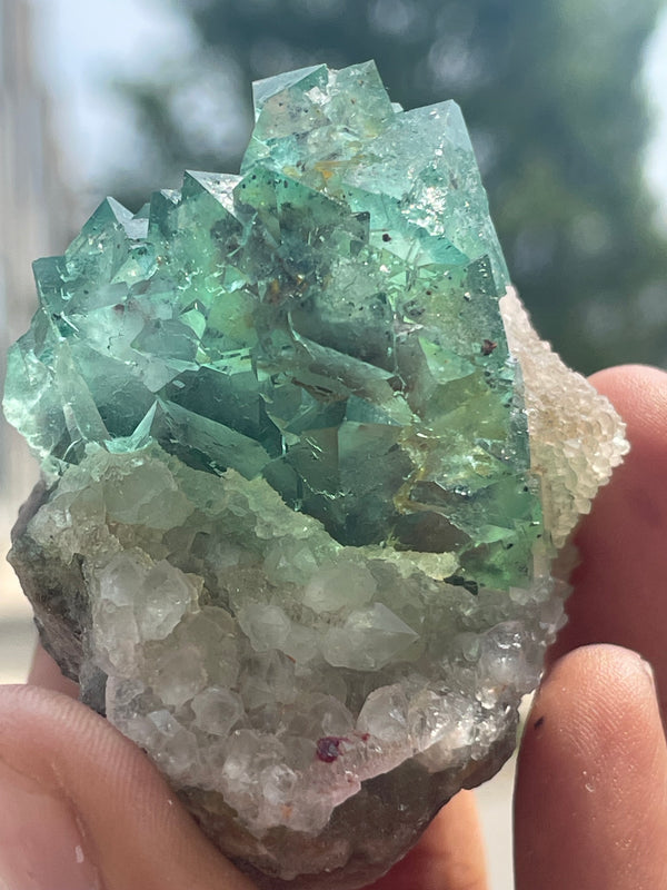 Orange River Fluorite from Riemvasmaak South Africa