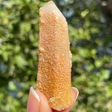 1 piece of Witch’s Finger Quartz from Boukenhoethoek, South Africa