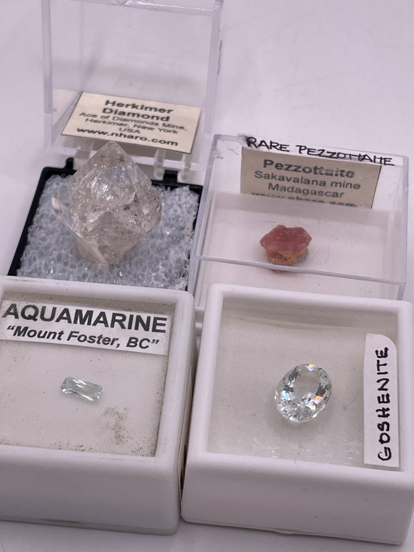 Mohlsen81/Cretaceous Artifacts