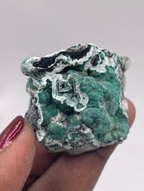 20 Piece Flat of Vibrant Chrysocolla with Malachite & Brochantite, from Usakos, Erongo Region, Namibia