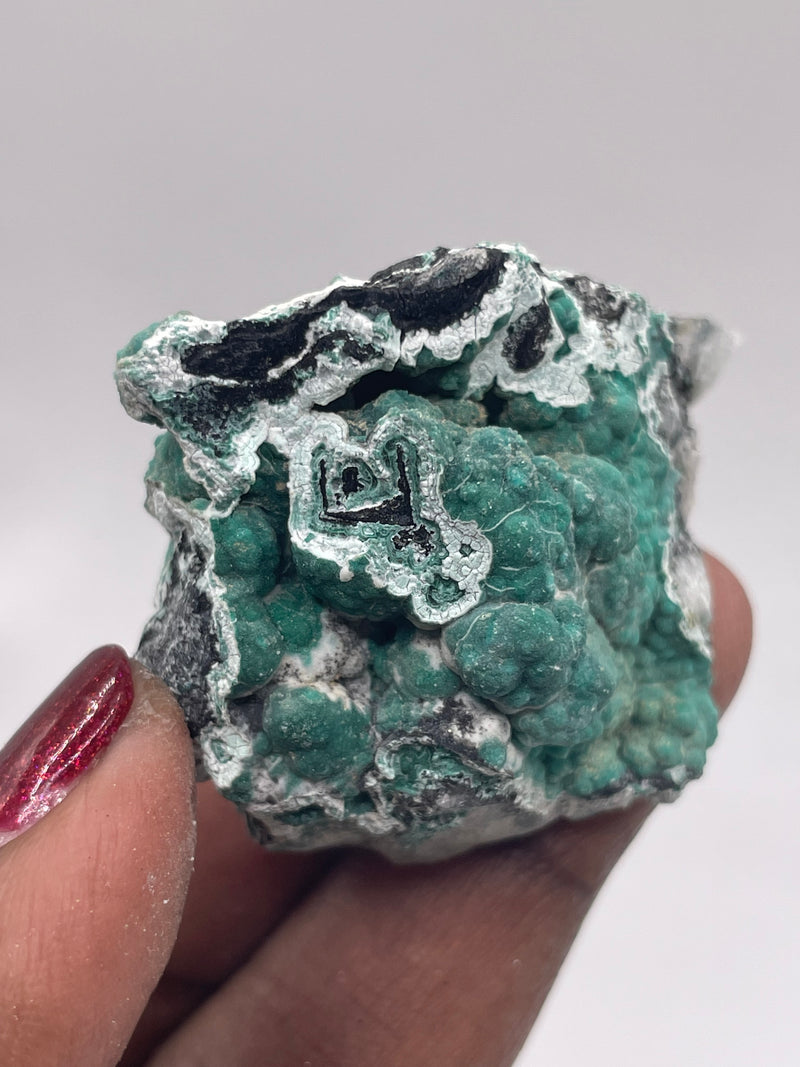 20 Piece Flat of Vibrant Chrysocolla with Malachite & Brochantite, from Usakos, Erongo Region, Namibia