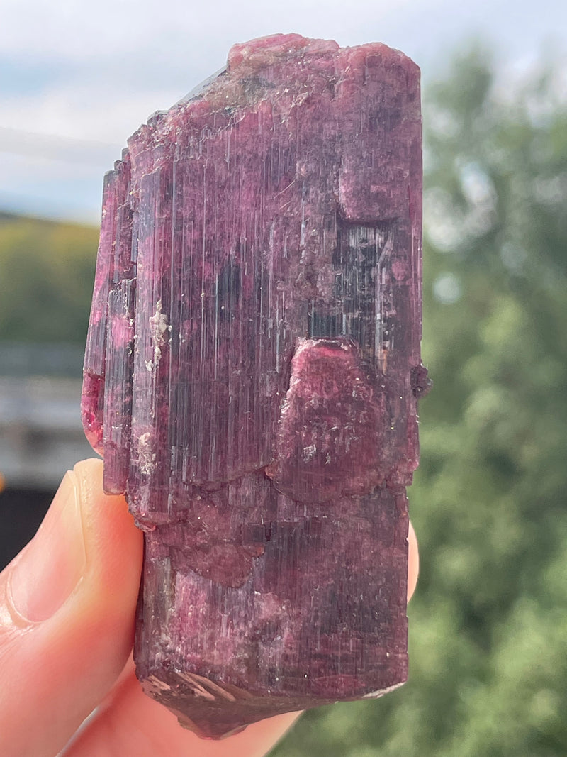 Liddicoatite Tourmaline from Sahatany Valley, Ibity, Antsirabe II, Vakinankaratra, Madagascar