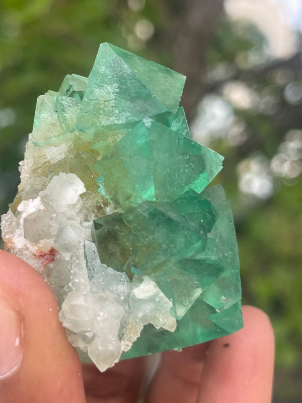 Orange River Fluorite from Riemvasmaak South Africa