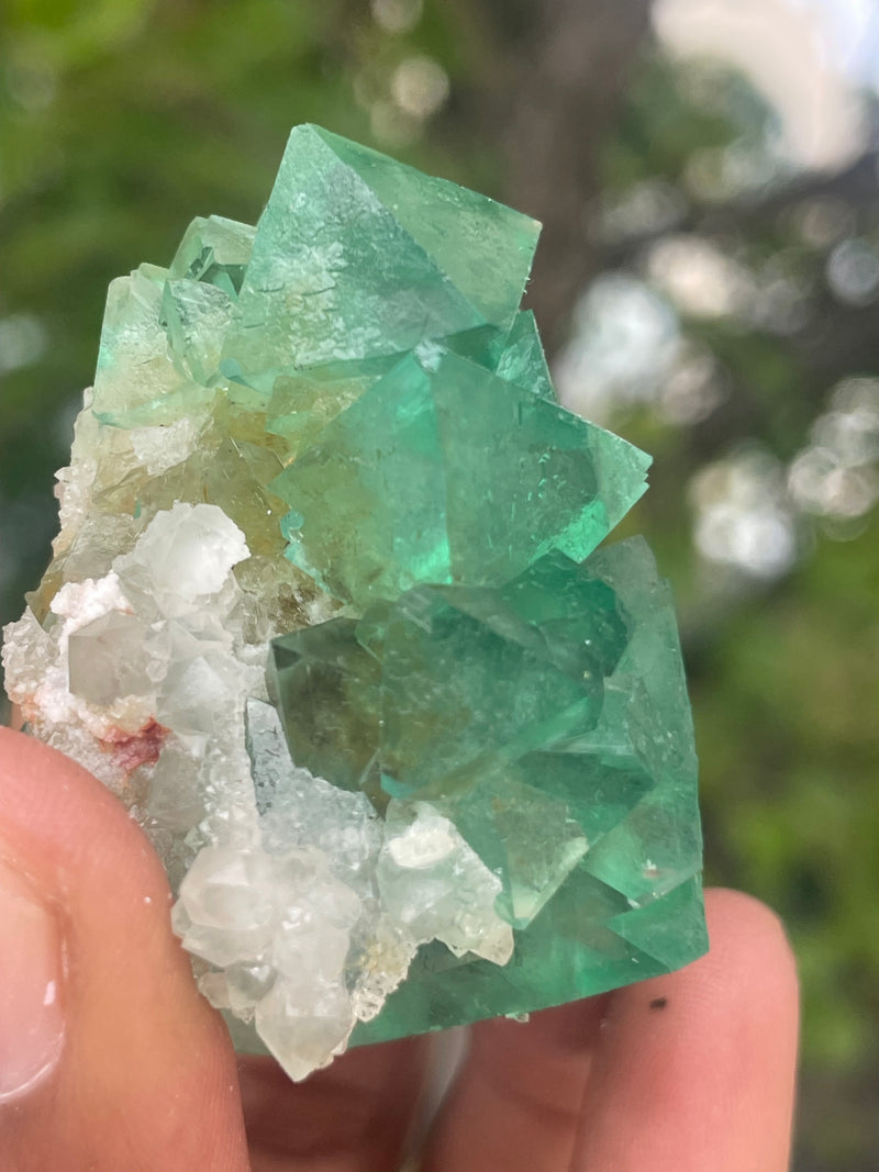 Orange River Fluorite from Riemvasmaak South Africa