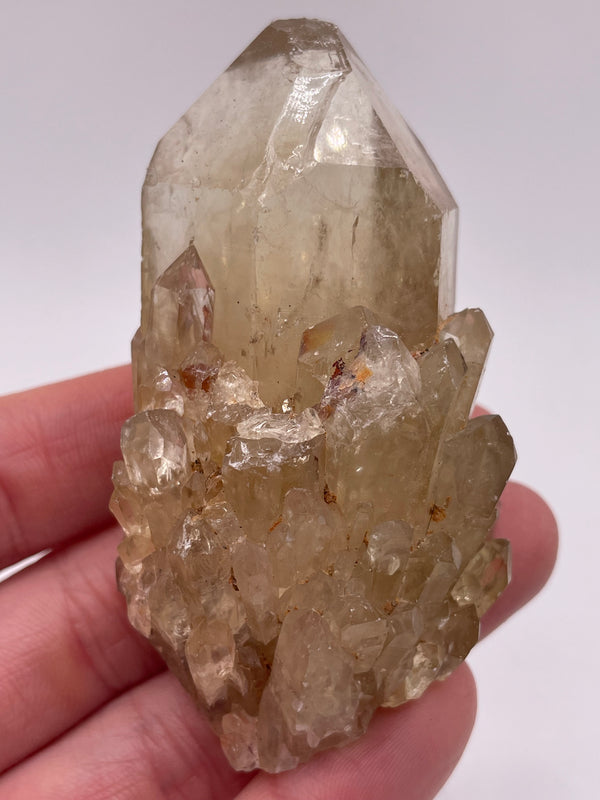 Kundalini Citrine Wholesale Flat 24 pieces from Democratic Republic of Congo