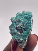 20 Piece Flat of Vibrant Chrysocolla with Malachite & Brochantite, from Usakos, Erongo Region, Namibia