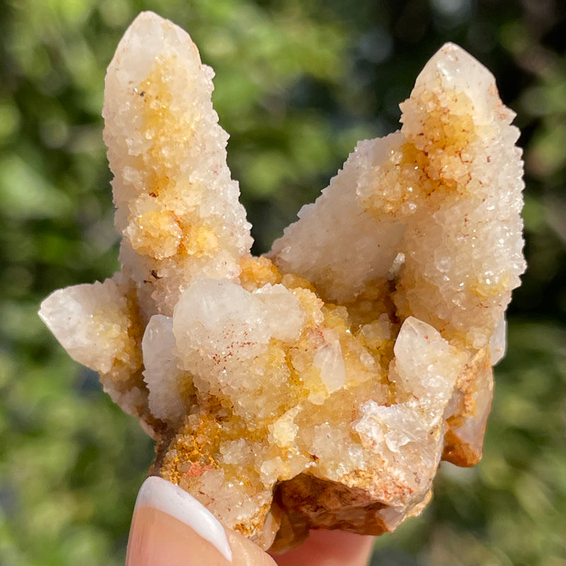 1 piece of Witch’s Finger Quartz from Boukenhoethoek, South Africa