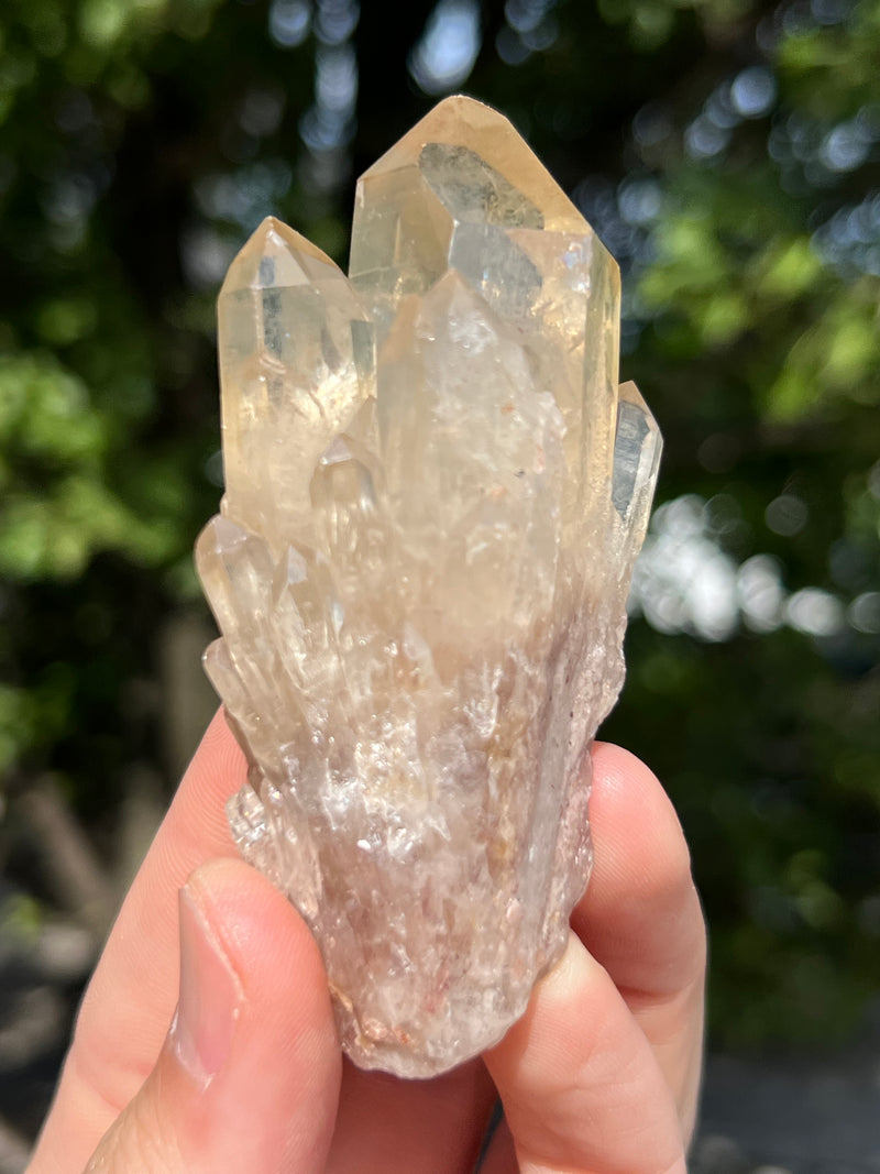 Kundalini Citrine Wholesale Flat 18 pieces from Democratic Republic of Congo