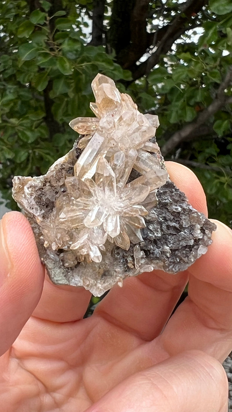 38 Piece Brandberg Quartz Wholesale Flat from the Brandberg District, Goboboseb, Erongo Region, Namibia