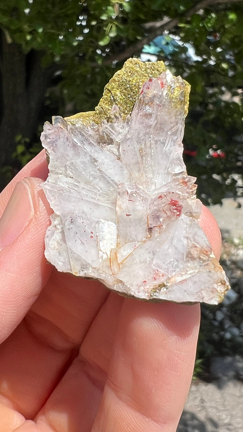 Harledote Brandberg Quartz flat 24 pieces from Goboboseb Mountains, Erongo Region, Namibia