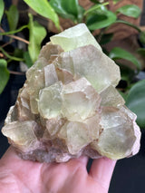 Fluorite from Rogers Mine, Huntingdon Township, Hastings County, Ontario, Canada