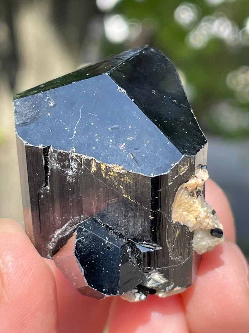 Black Tourmaline Flat 24 pieces from Namibia
