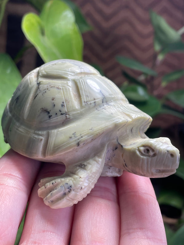 Shona Sculpture, Butter Jade Turtle from Zimbabwe