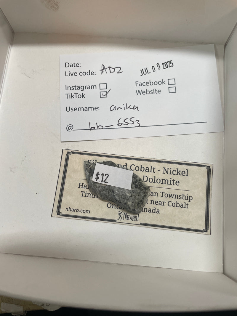 bb_6533