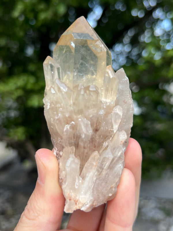 Kundalini Citrine Wholesale Flat 18 pieces from Democratic Republic of Congo