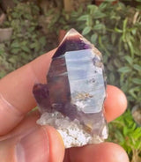 @Millbrook Barbet IG (Crystal not at warehouse yet)