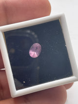 @krystonite20