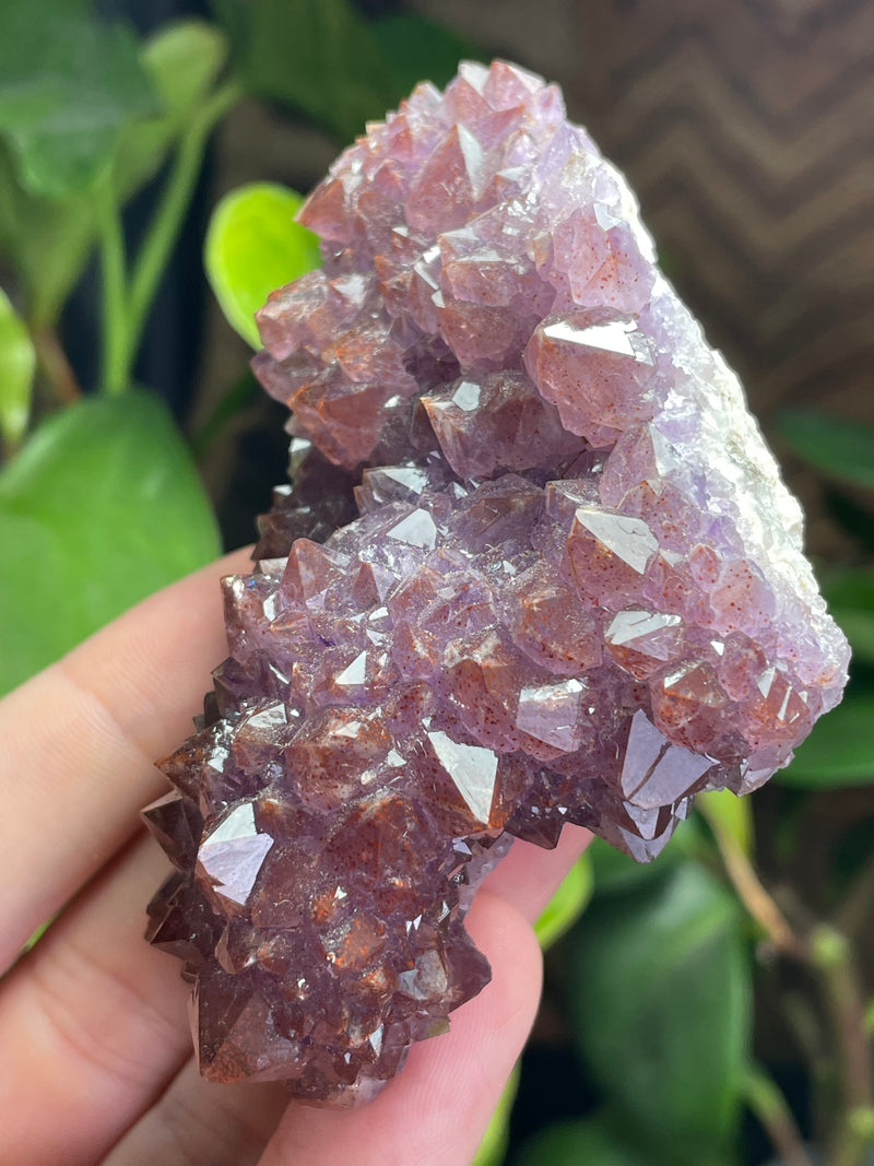 Amethyst from Diamond Willow Mine, Pearl, ON, Canada