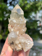 Kundalini Citrine Wholesale Flat 18 pieces from Democratic Republic of Congo