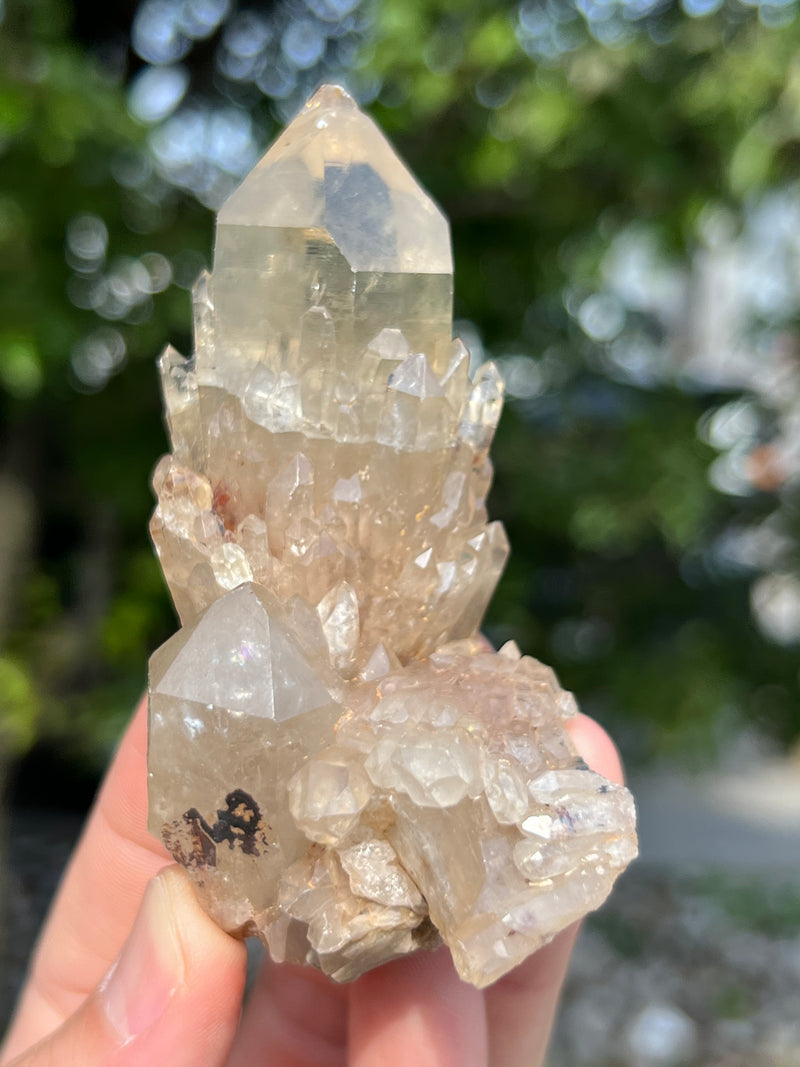 Kundalini Citrine Wholesale Flat 18 pieces from Democratic Republic of Congo