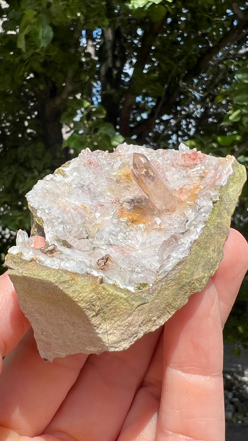 Harledote Brandberg Quartz flat 12 pieces from Goboboseb Mountains, Erongo Region, Namibia