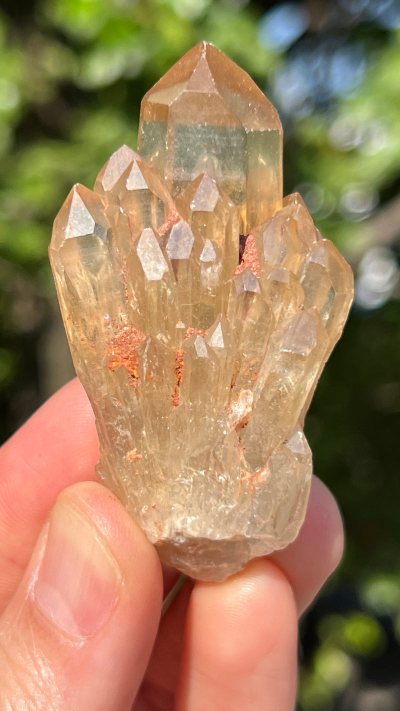 Kundalini Citrine Wholesale Flat 24 pieces from Democratic Republic of Congo