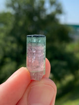 Watermelon Tourmaline from Taquaral, Minas Gerais, Brazil