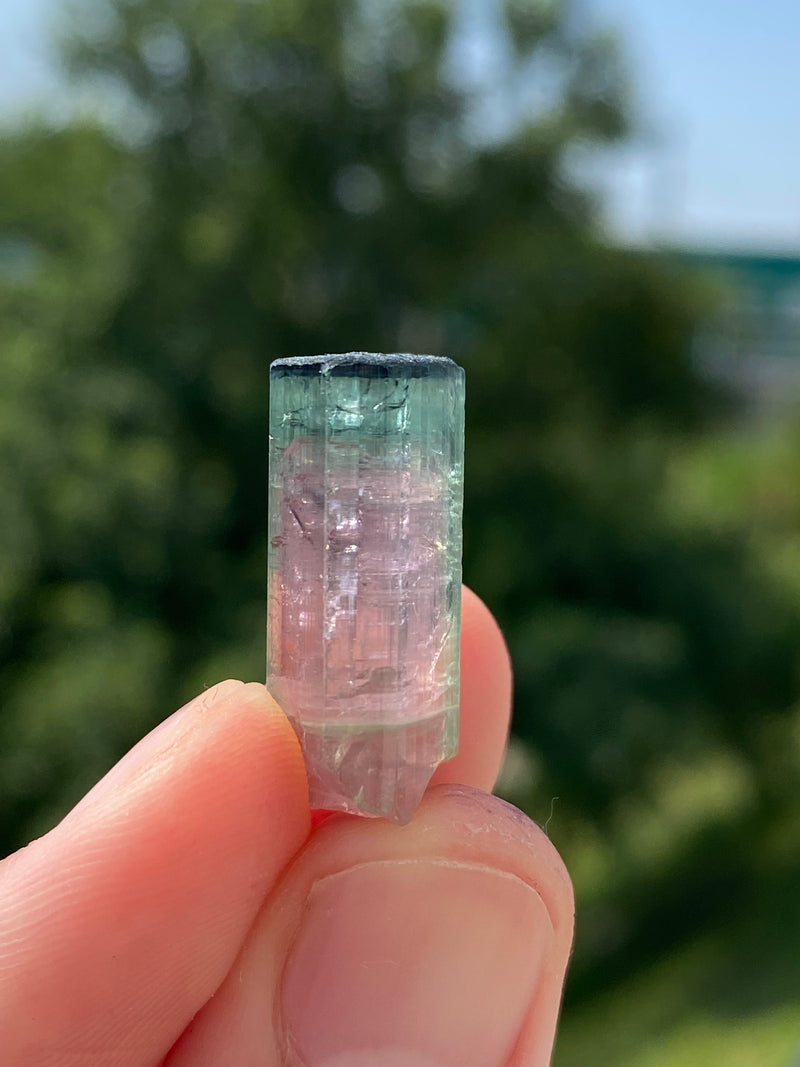 Watermelon Tourmaline from Taquaral, Minas Gerais, Brazil